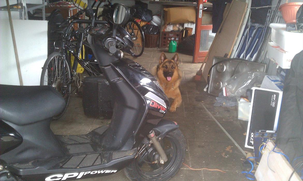 CPI Oliver City billede 5