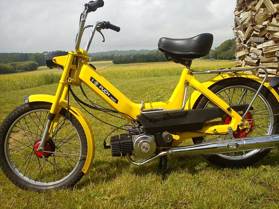 Puch Maxi  billede 1