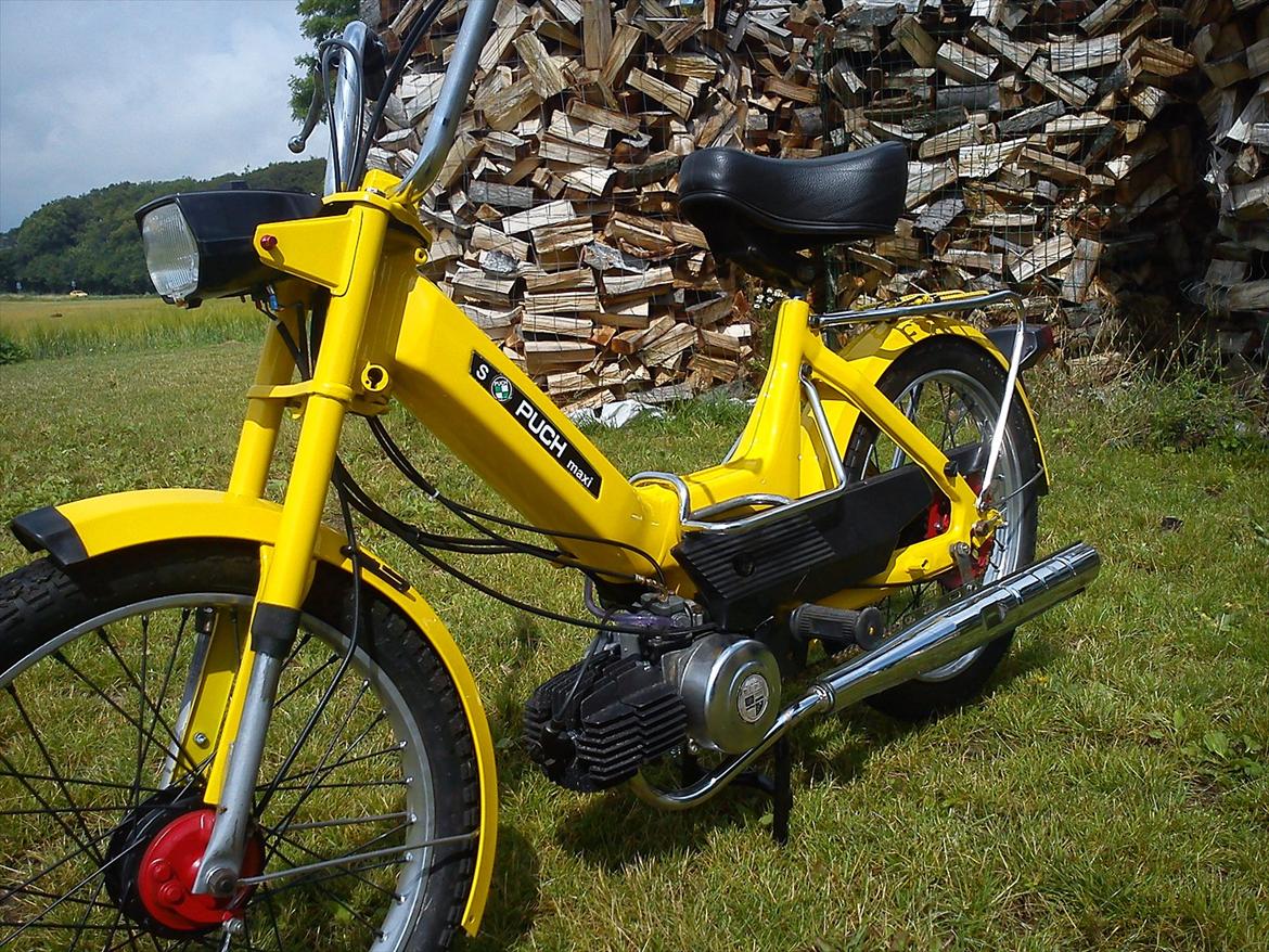 Puch Maxi  billede 2
