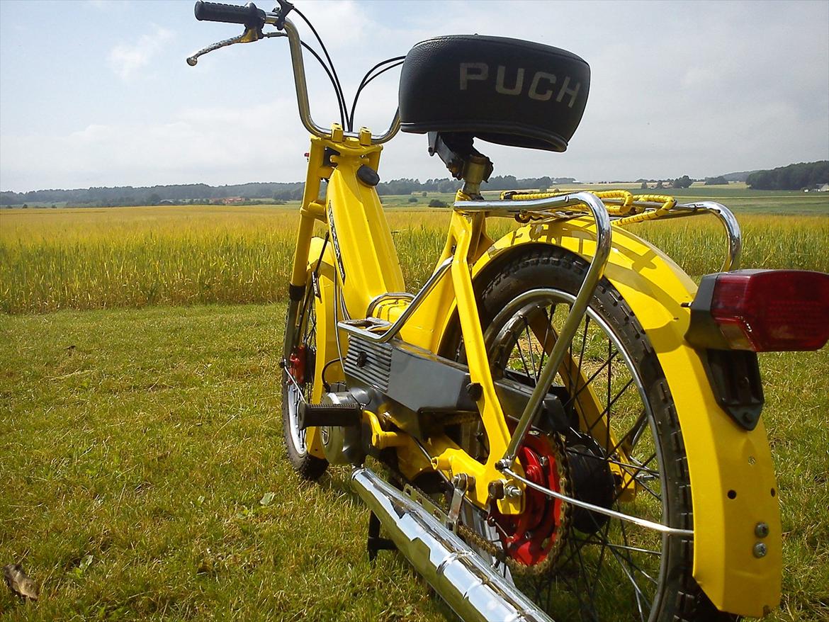 Puch Maxi  billede 5