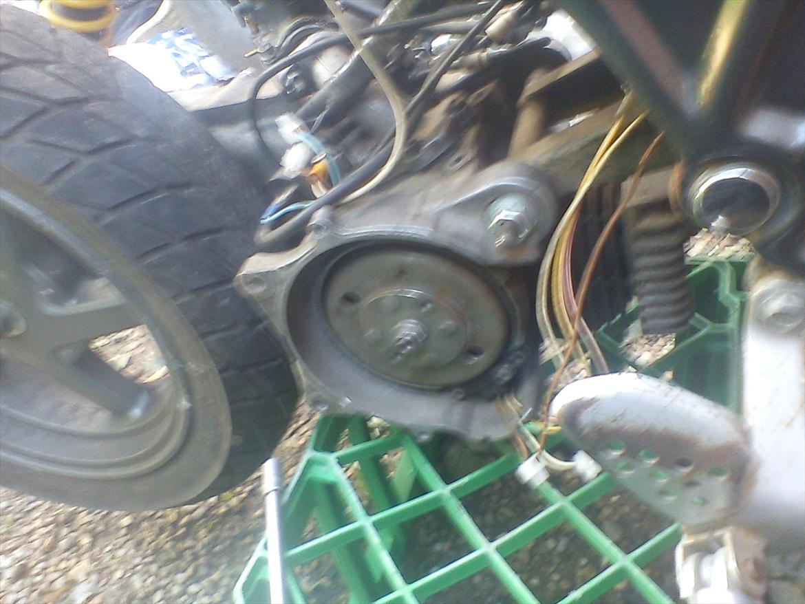 Suzuki street magic  billede 11