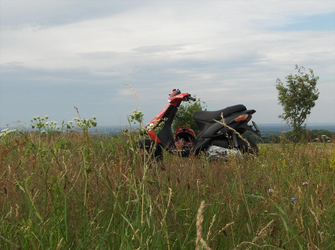 Gilera Stalker billede 6