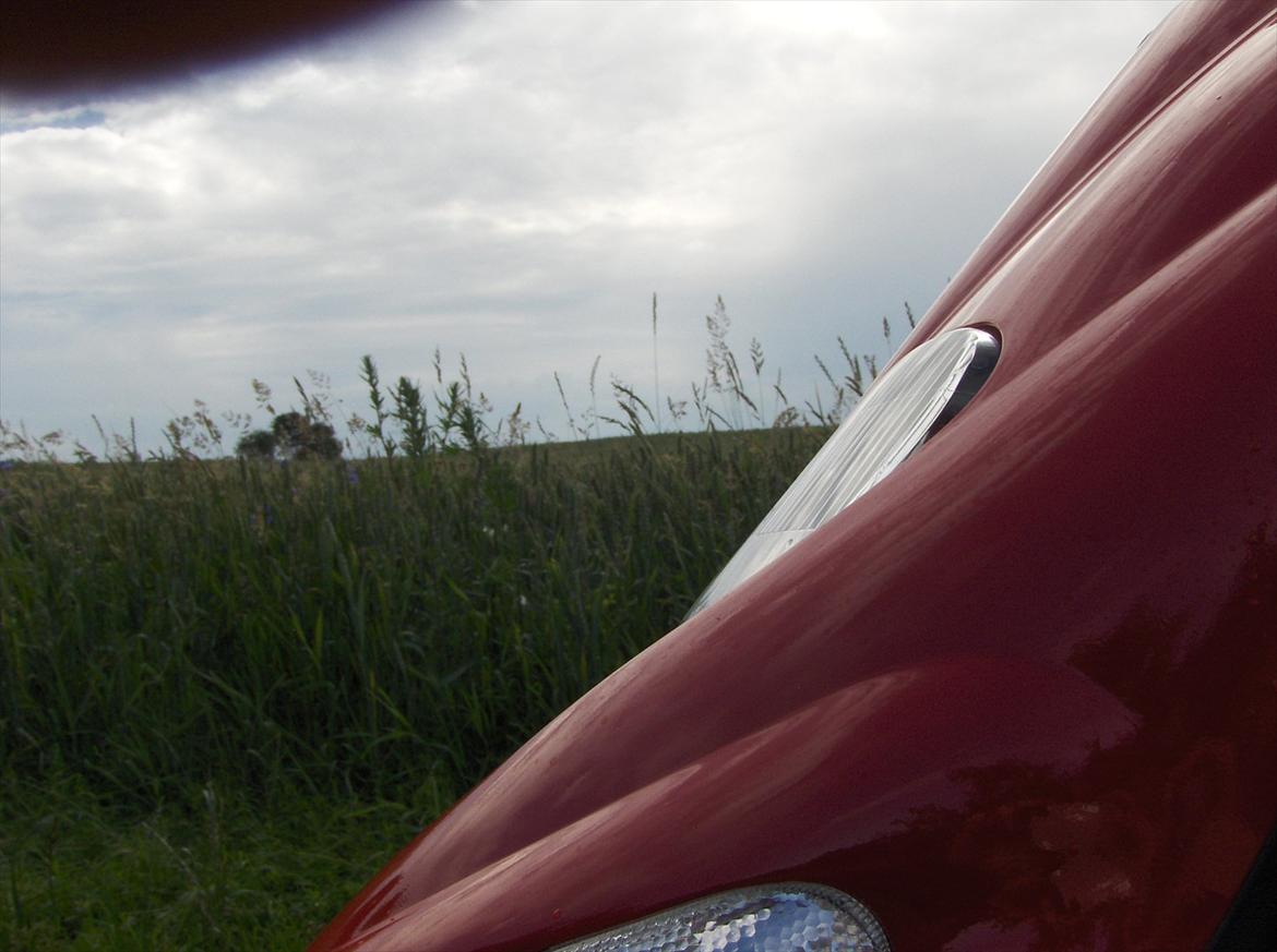 Gilera Stalker billede 11