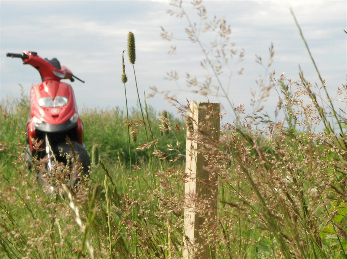 Gilera Stalker billede 13