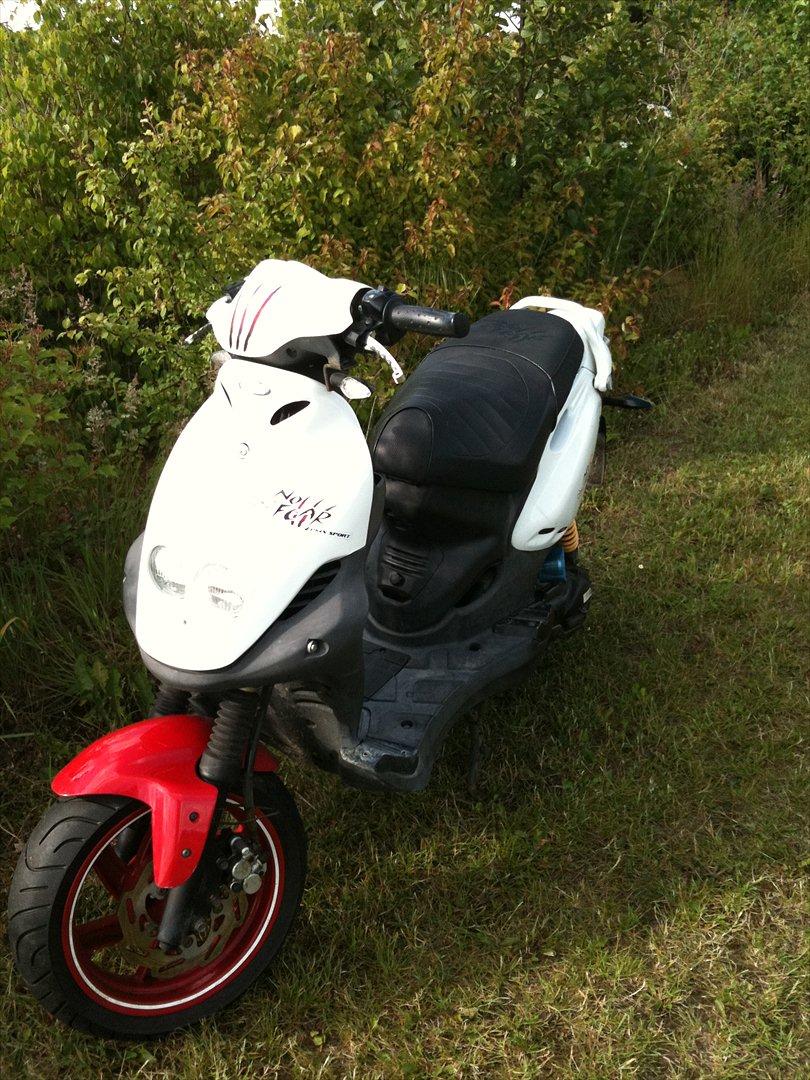 PGO pmx No Fear billede 1