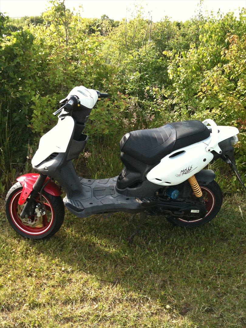 PGO pmx No Fear billede 2