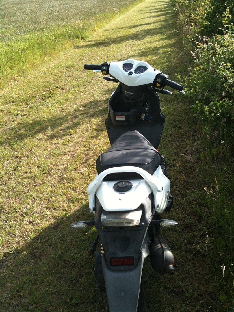 PGO pmx No Fear billede 5