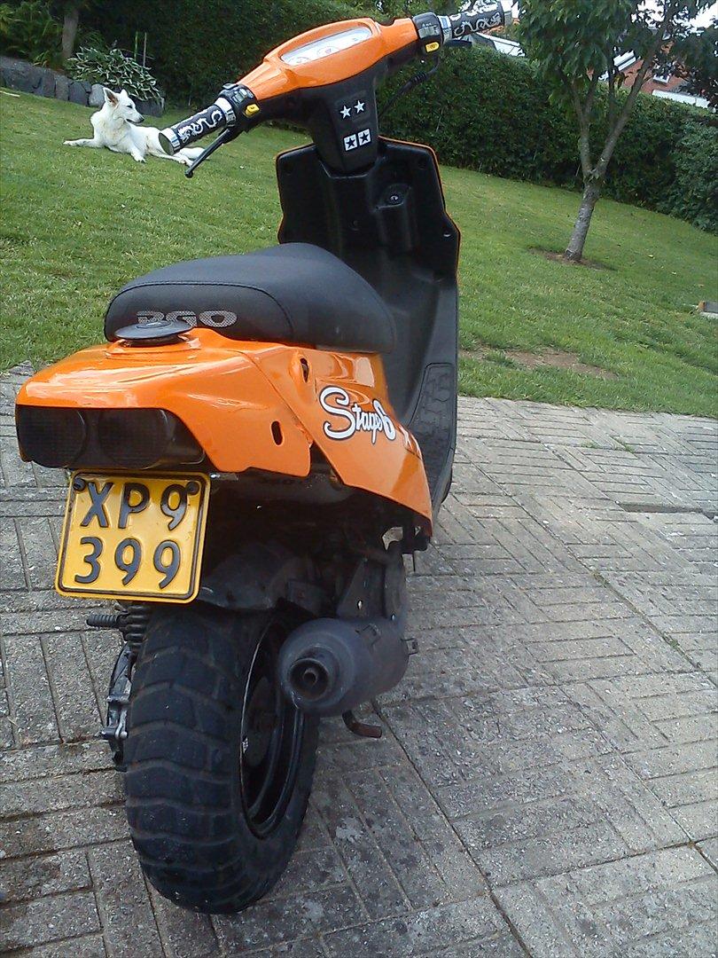 PGO Hot 50  billede 12