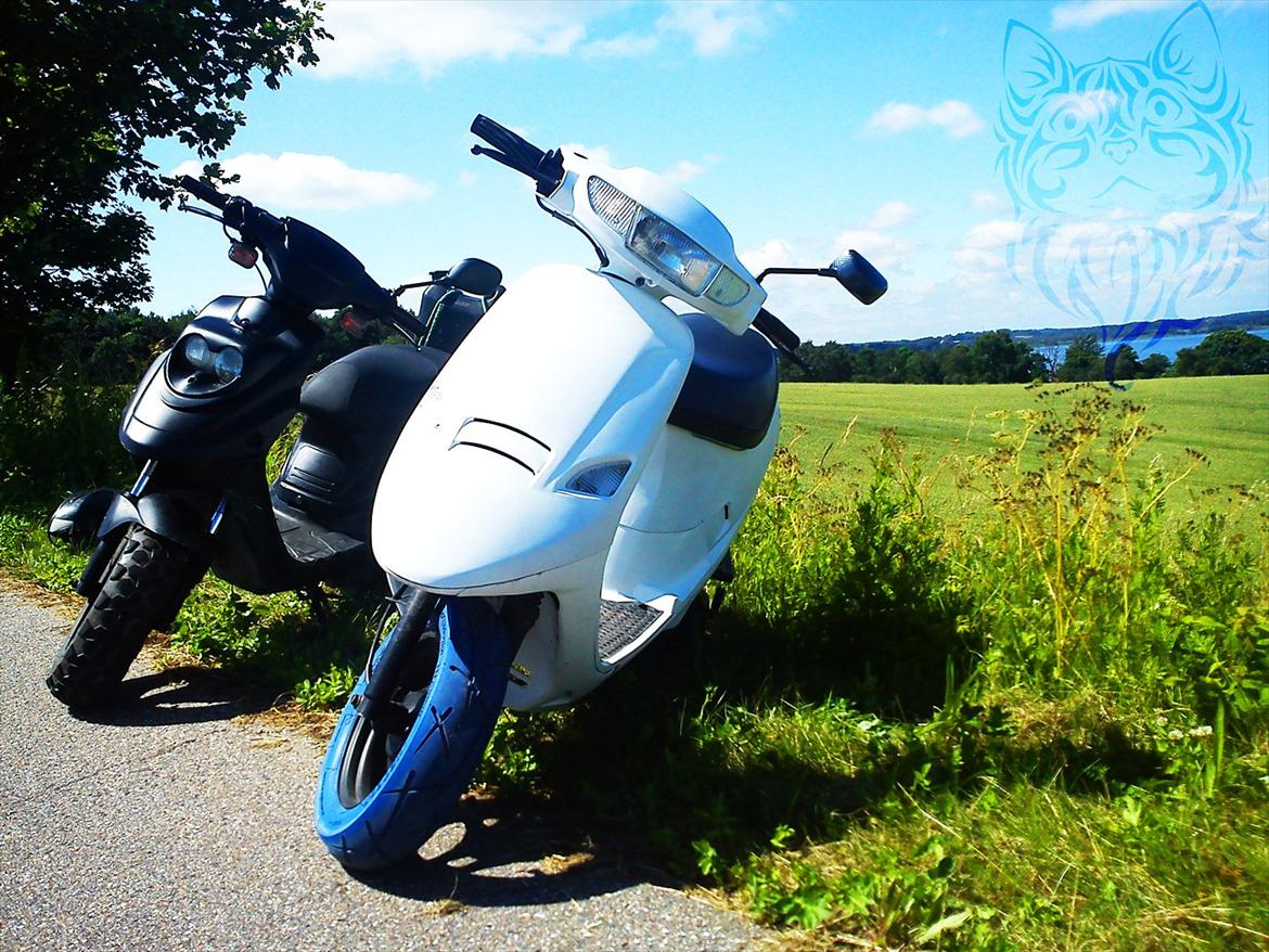 PGO Comet AC Solgt billede 4