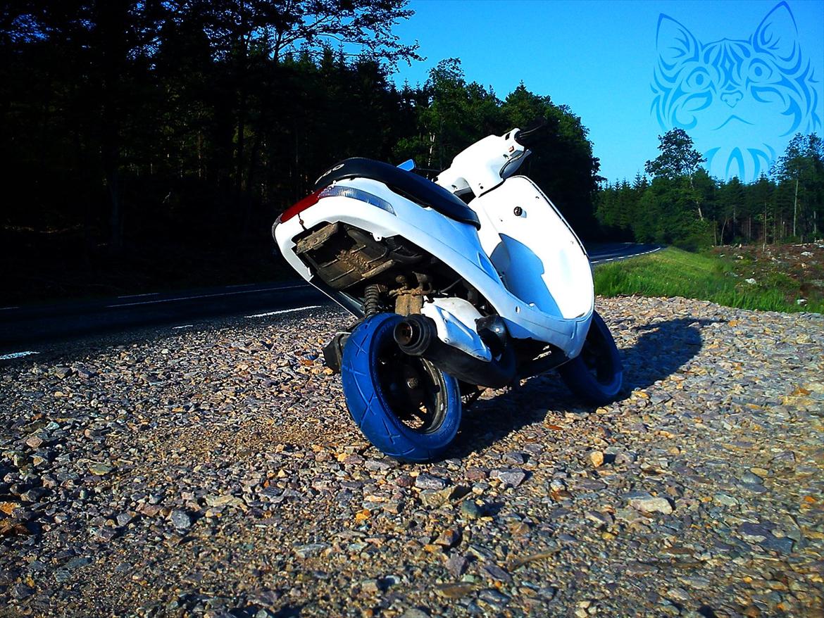 PGO Comet AC Solgt billede 6