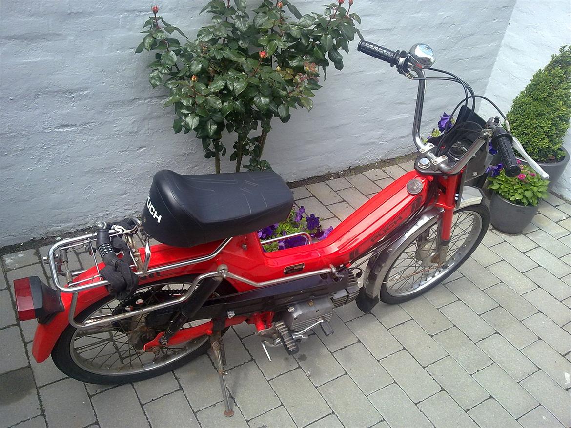 Puch Maxi 2 Gear - forår 2011 billede 17