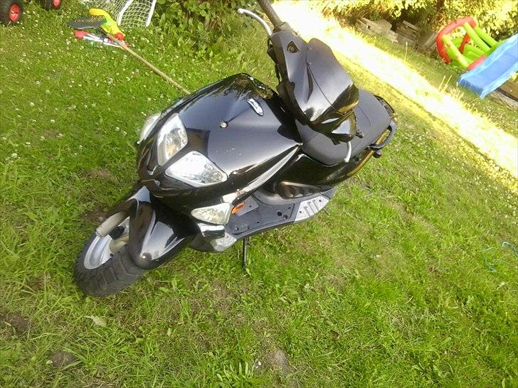 PGO Dr.Big / Benelli   billede 4
