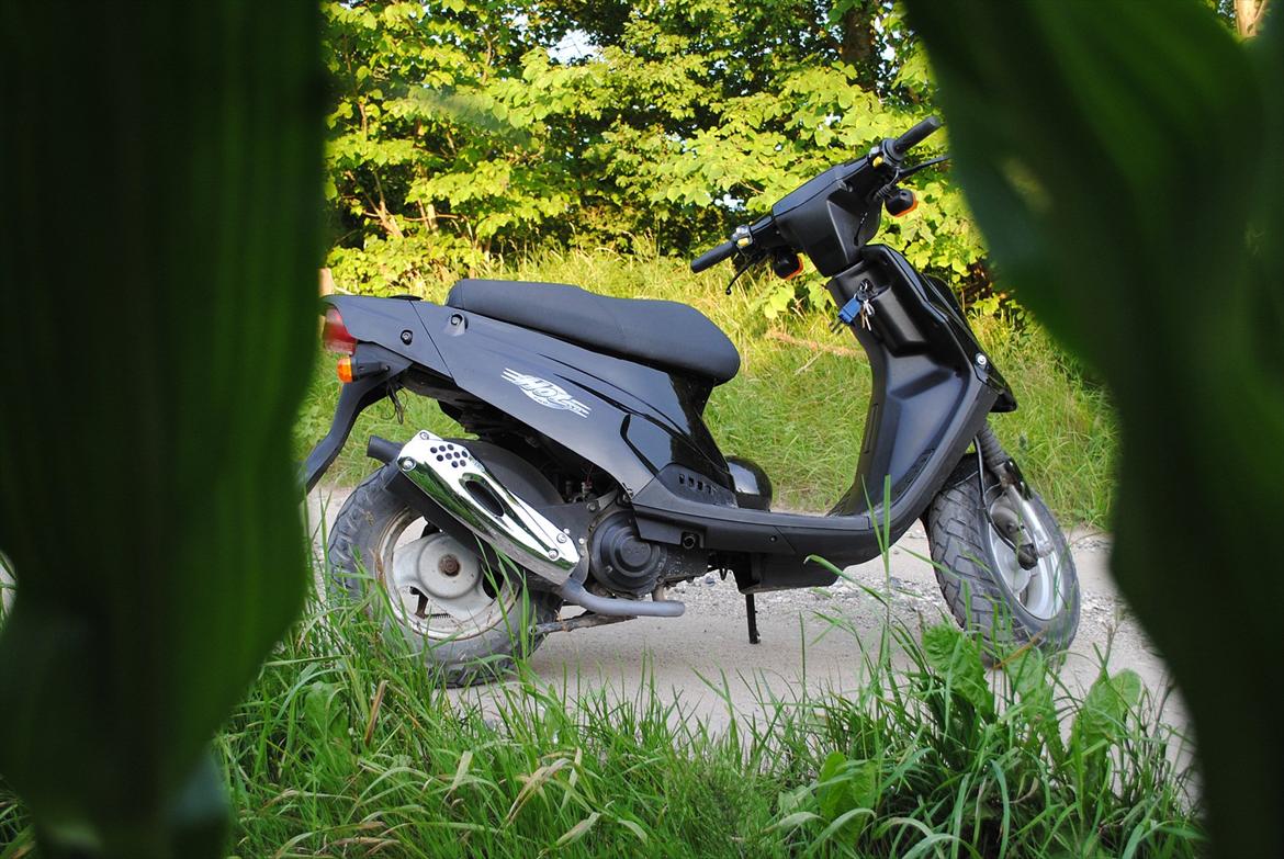 PGO Hot 50 - Der er lige bestilt ny støddæmper i hvid, fodmåtte i hvid og 4 stk blinklys-glas i carbon-look.  billede 2