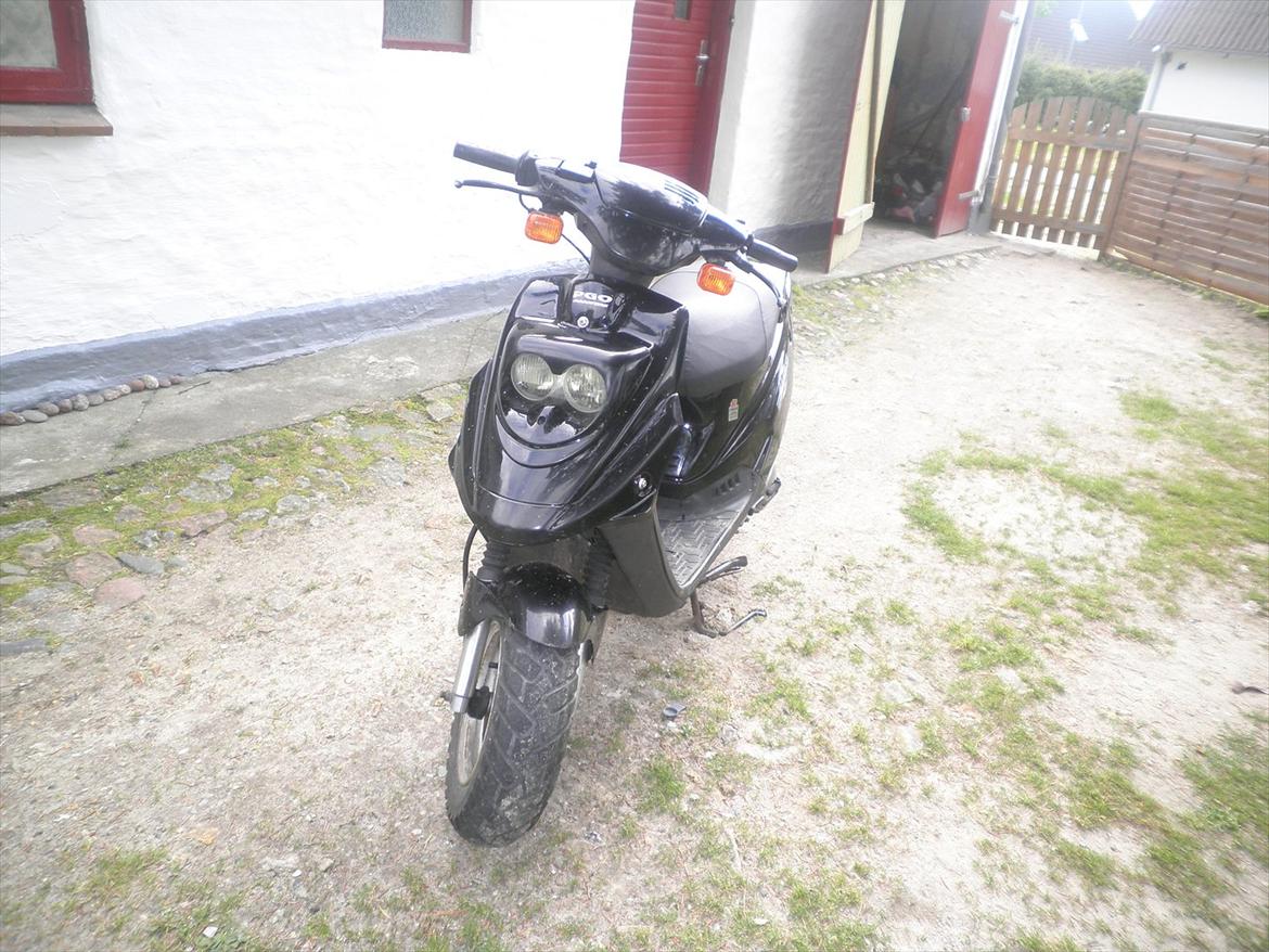 PGO Hot 50 billede 1