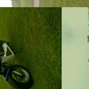 PGO Hot 50 SOLGT (5000) 