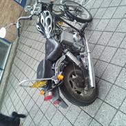 Kinroad Prince xt 50 "Sofie"