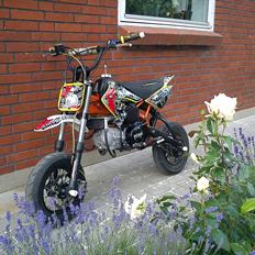 Pitpro 150cc 