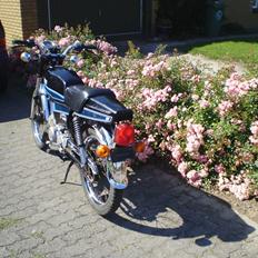 Suzuki DM50 Samurai - [Tidl. Scooter]