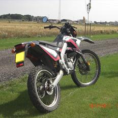 Gilera RCR50 LC DD