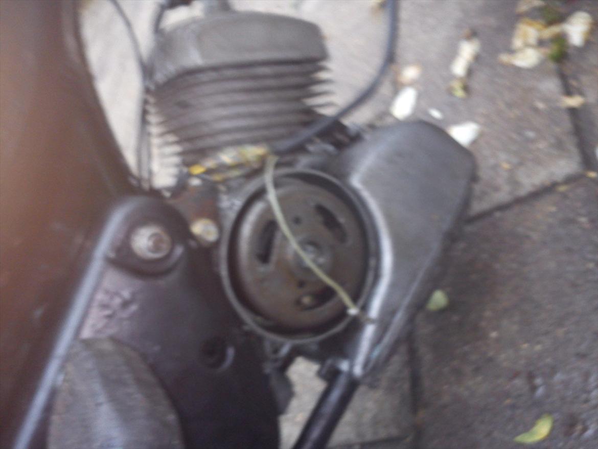 Solo-Electra 725 billede 3