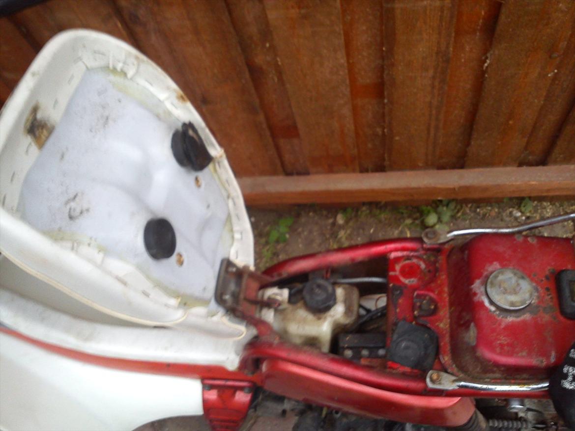 Suzuki Fz50 billede 5