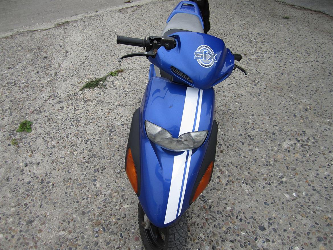 Honda Sfx billede 6