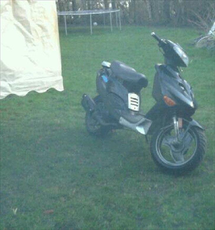 Adly Arriva billede 4