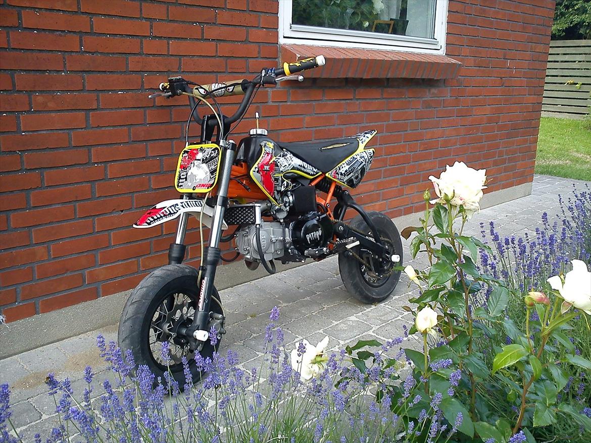 Pitpro 150cc  billede 1