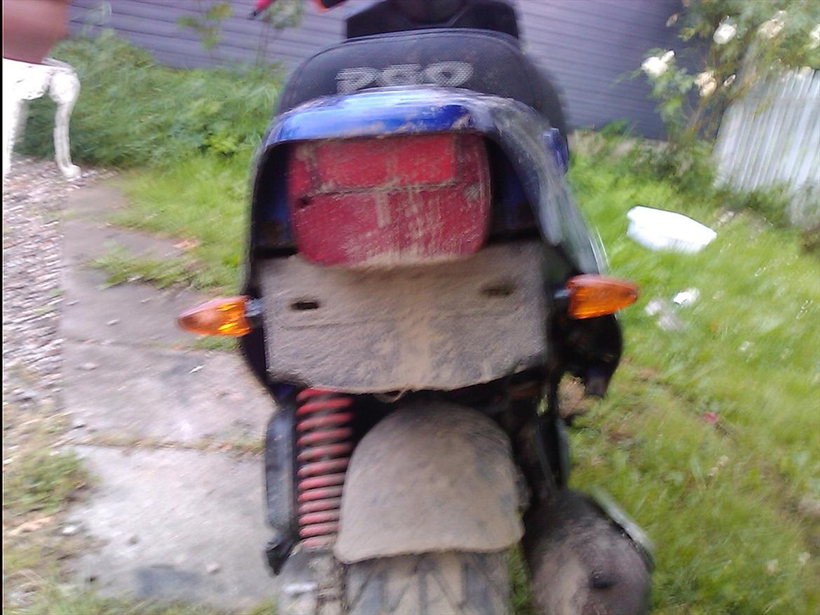 PGO hot 50 billede 4