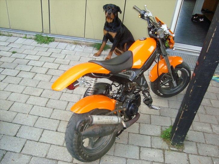 Suzuki street magic solgt billede 7