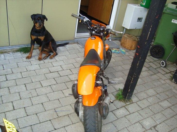 Suzuki street magic solgt billede 8