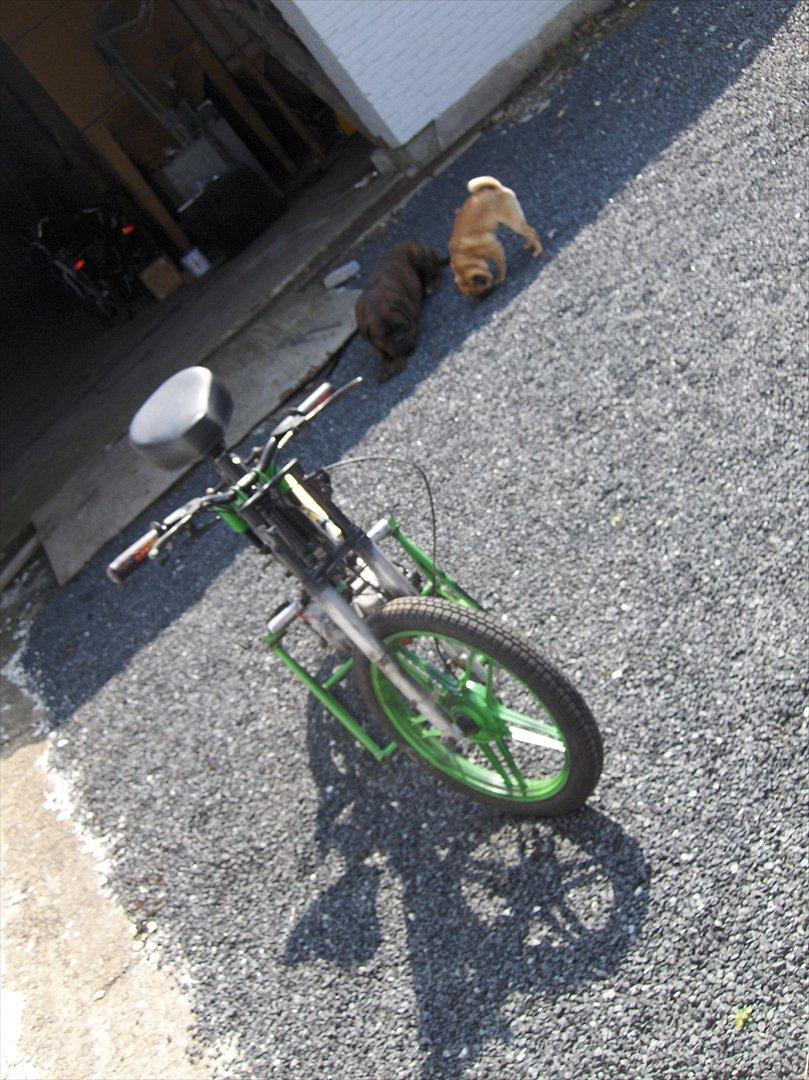 Puch               maxi p1 bws cylinder billede 7