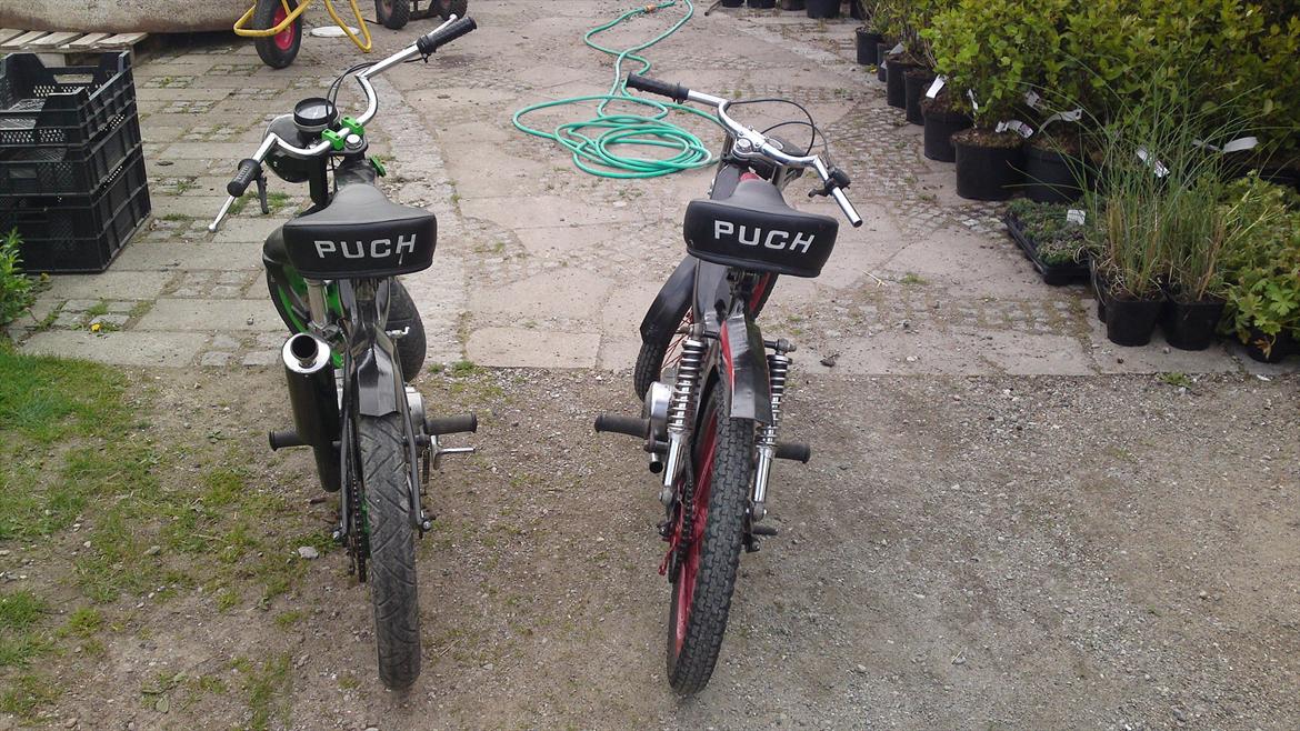 Puch maxi billede 12