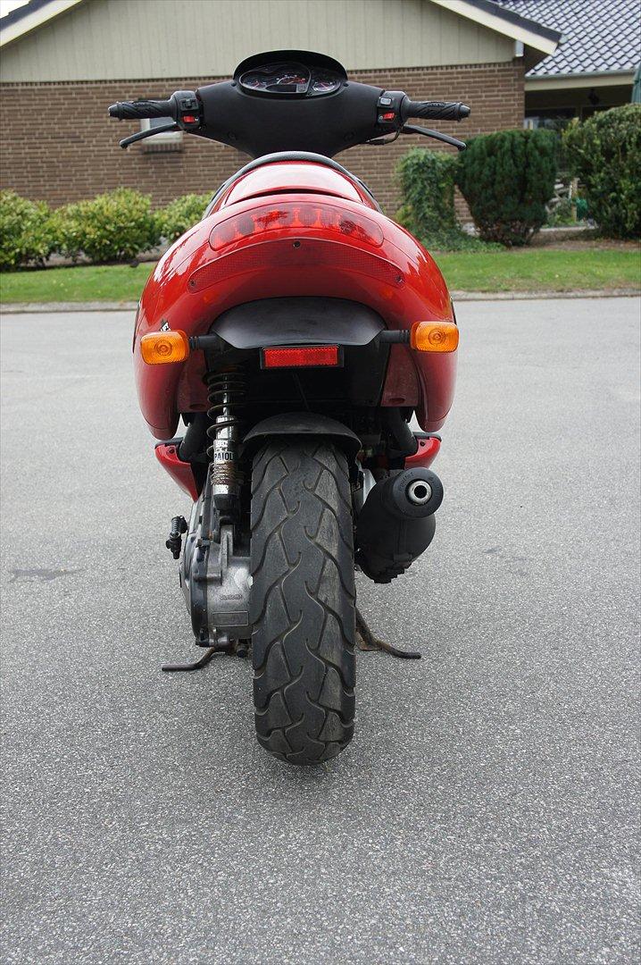 Benelli 491 LC DD billede 5