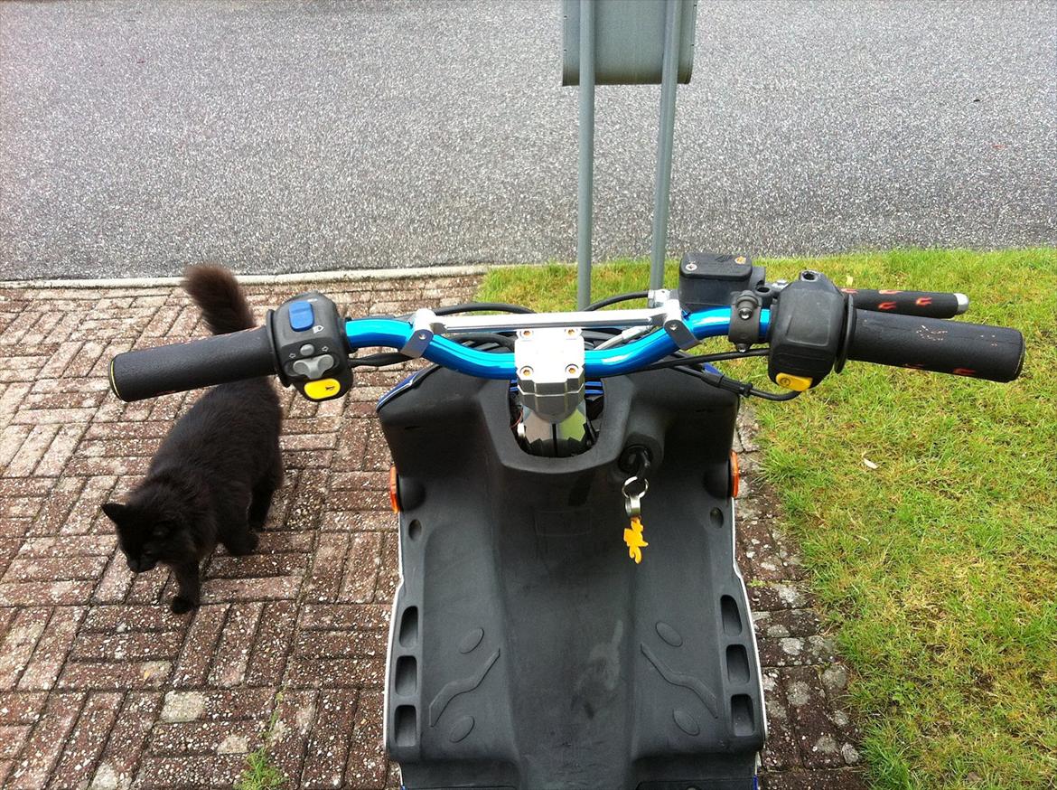 Peugeot SpeedFight 2 (FØR) billede 11