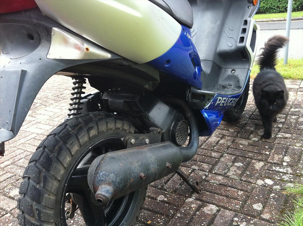 Peugeot SpeedFight 2 (FØR) billede 14