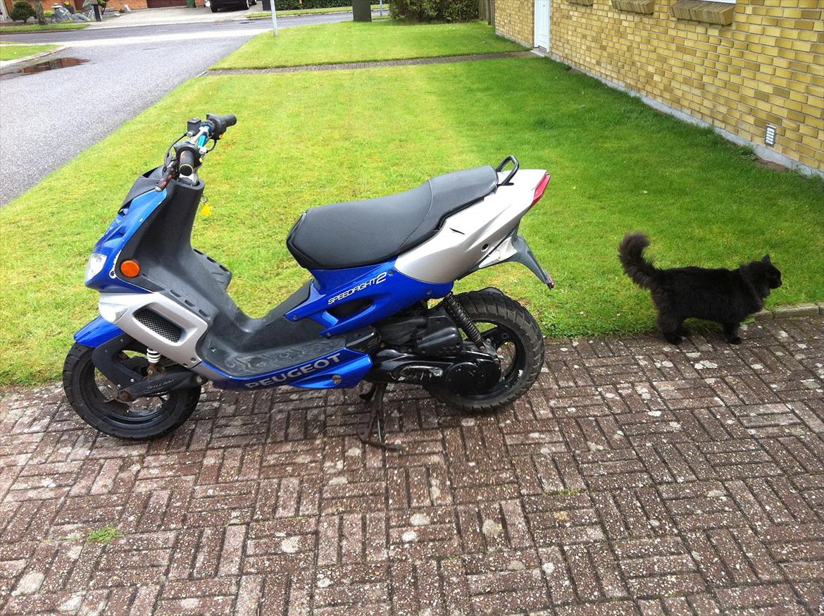 Peugeot SpeedFight 2 (FØR) billede 15
