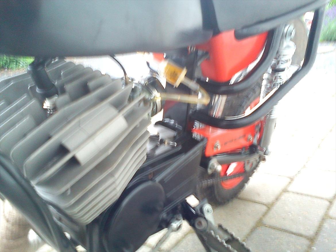 Garelli assa billede 7