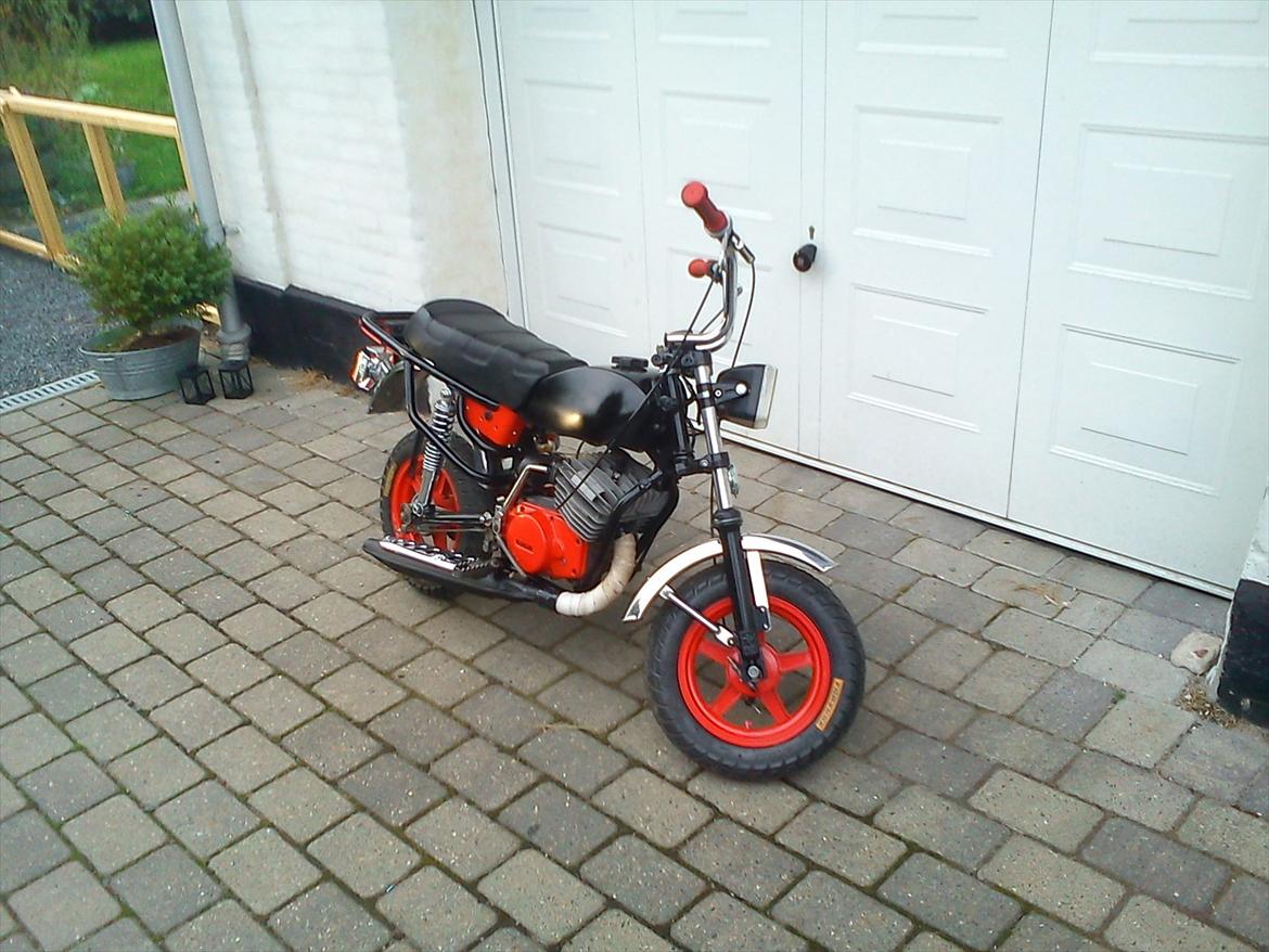 Garelli assa billede 9