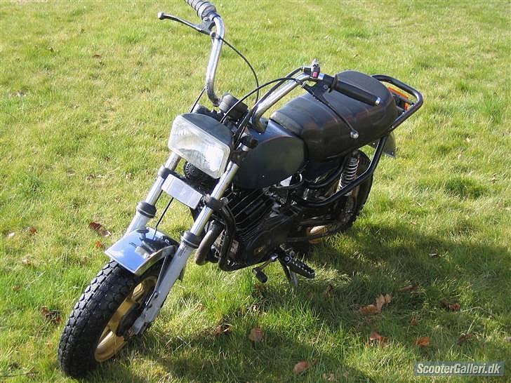 Garelli assa billede 12