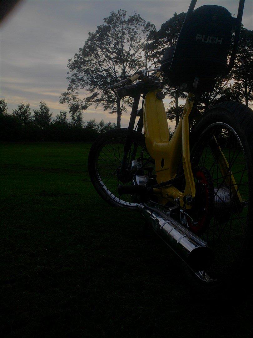 Puch maxi billede 5
