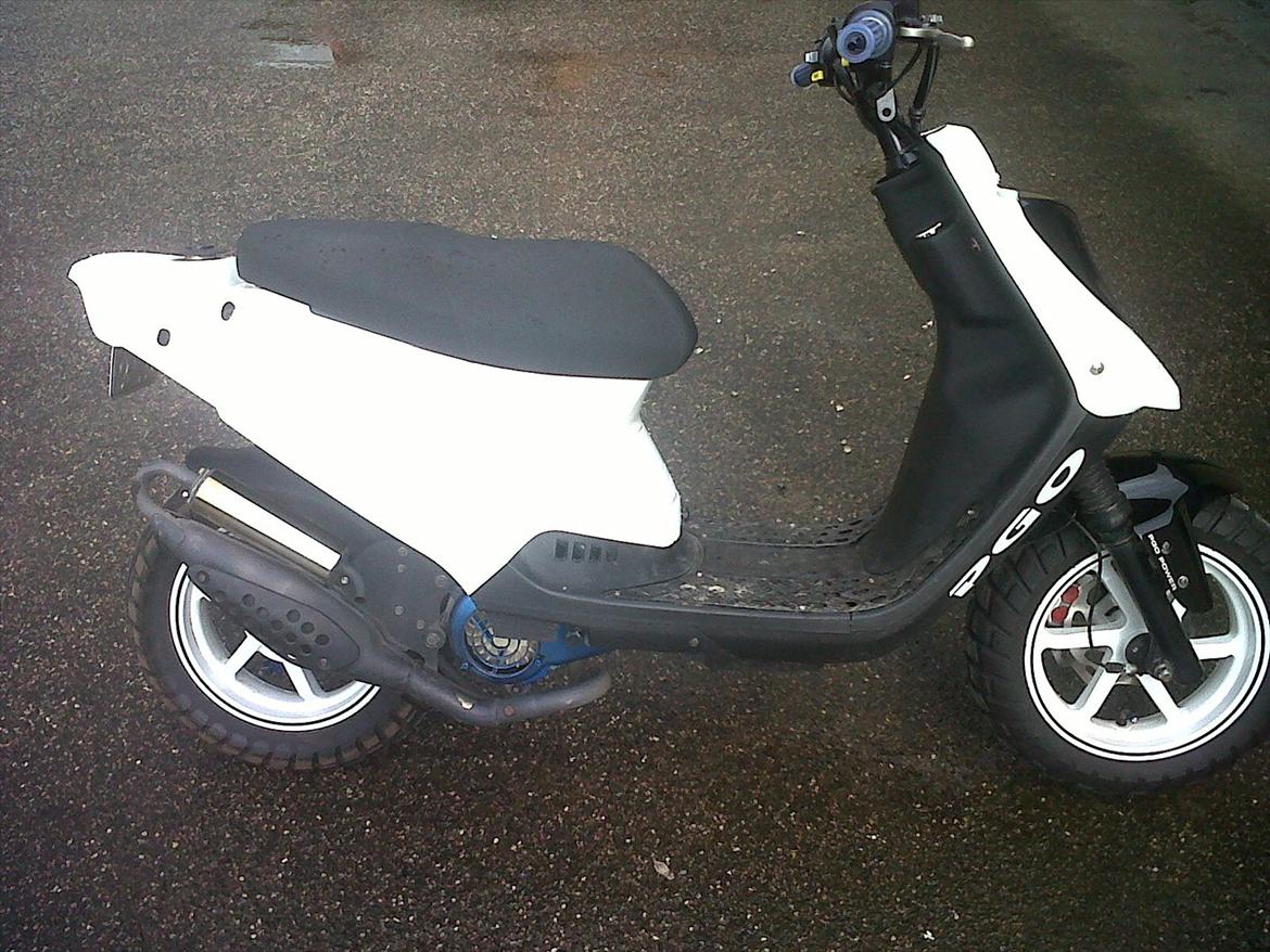 PGO Hot Naked billede 7