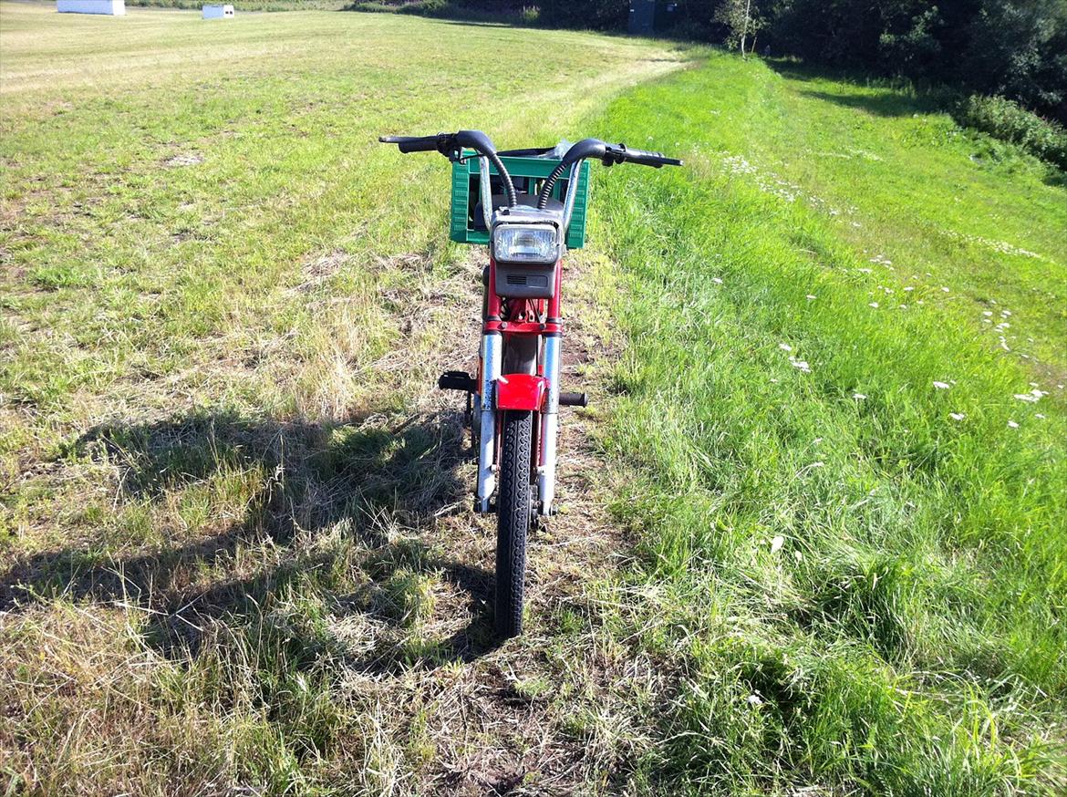 Puch maxi p1 tilsalg billede 2