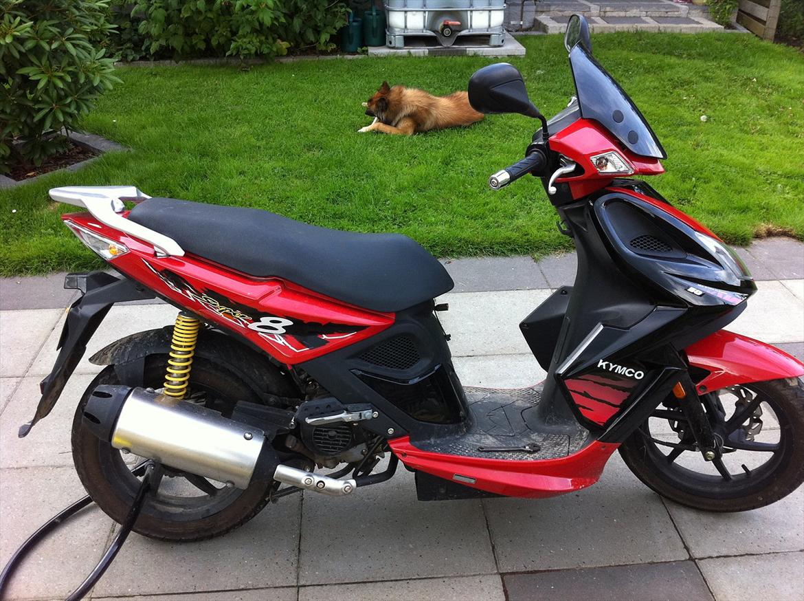 Kymco super 8 sælges billede 2