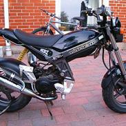 Suzuki Street Magic *SOLGT*