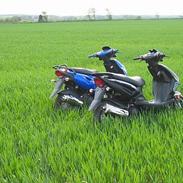 CPI Popcorn *[Solgt]*