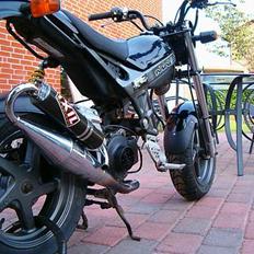 Suzuki Street Magic *SOLGT*