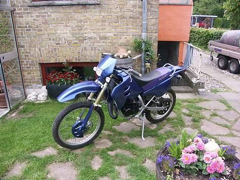 Suzuki Rmx billede 2