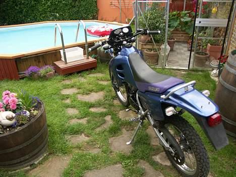 Suzuki Rmx billede 3