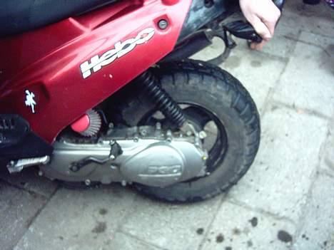 PGO Hot 50 billede 4